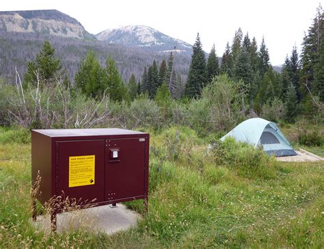 bear picnic metal boxes|Bear Boxes for Camping .